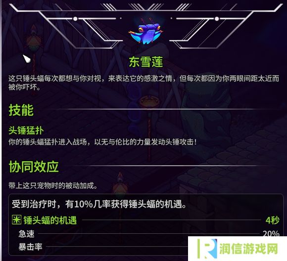 崩溃大陆2宠物图鉴攻略大全   全部宠物技能