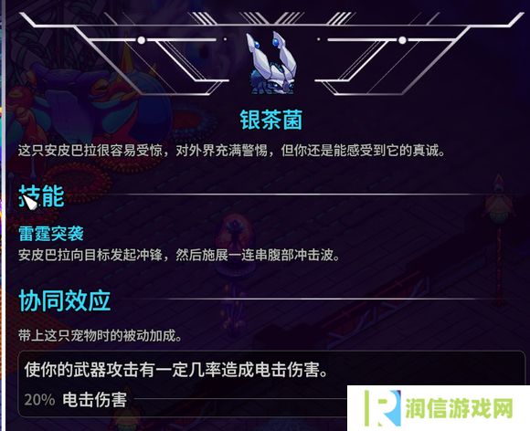 崩溃大陆2宠物图鉴攻略大全   全部宠物技能