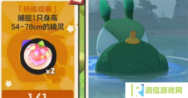 洛克王国世界可可果挂件怎么获取 可可果挂件获取攻略