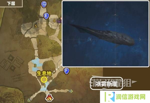 怪物猎人荒野带卵弓鳍鱼不咬钩怎么办 带卵弓鳍鱼用什么饵？