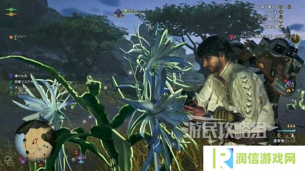 怪物猎人荒野一夜花的月华粉位置及获取途径一览
