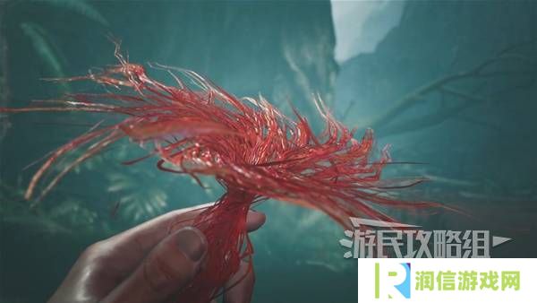 怪物猎人荒野攻略总汇   全章节任务流程攻略图片36