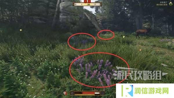 天国拯救2图文攻略大全   所有任务全流程攻略总汇图片29