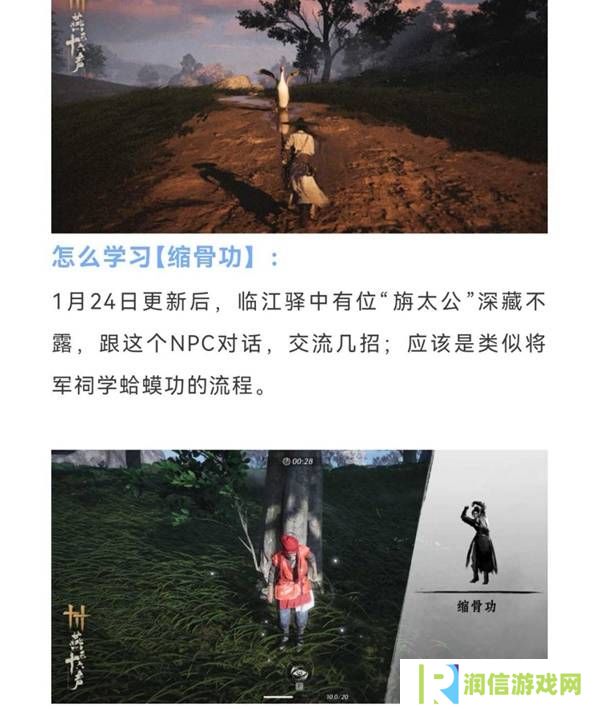 燕云十六声缩骨功在哪    缩骨功获得攻略图片2