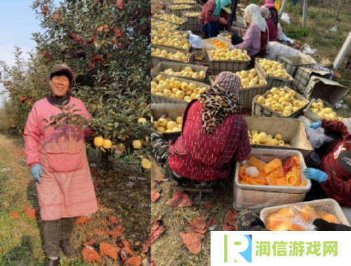 《荒野迷城》助农行动玩游戏做公益 千箱爱心免费领