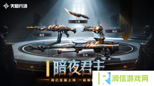 天启行动11