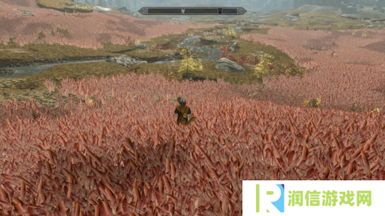 《上古卷轴5》新MOD锻炼玩家意志 遍地手足