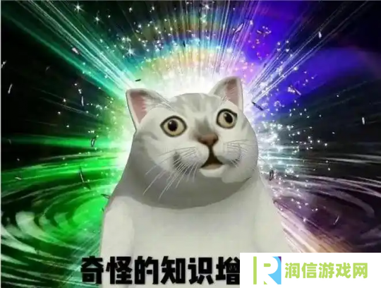 黄金服又双叒叕发钱了，全服抢12个装备位，榜首直接成网易股东