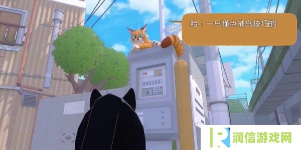 小猫咪大城市伸个大懒腰动作怎么获得