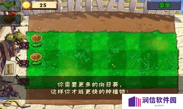 植物大战僵尸95版正版