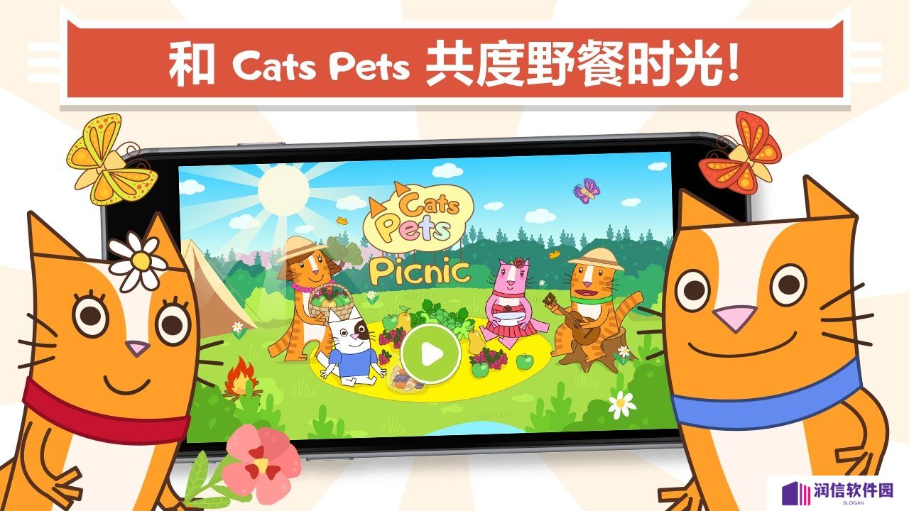 宠物猫野餐