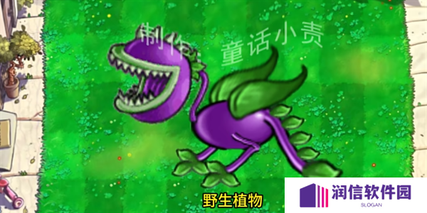 植物大战僵尸结合版