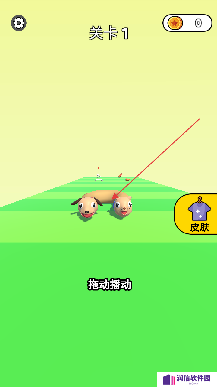 非常普通的动物
