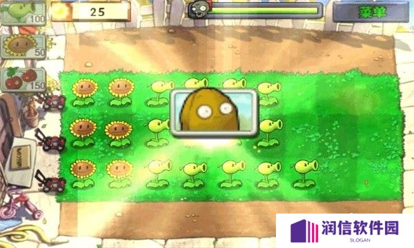 植物大战僵尸95版正版