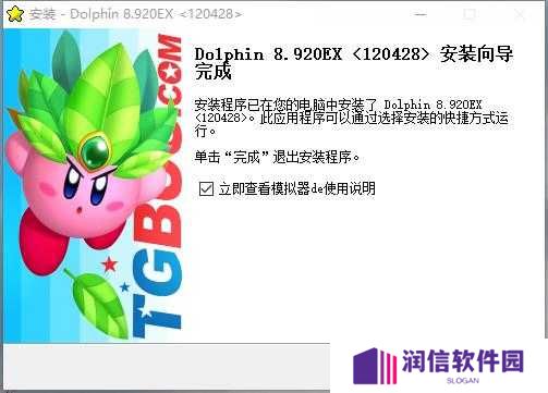 Wii模拟器Dolphin截图