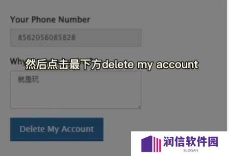 纸飞机官方