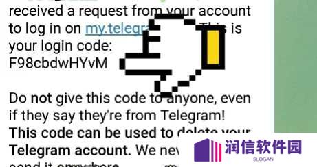 纸飞机官方