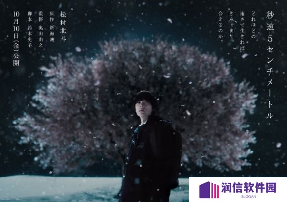 要多快的活着 才能再相遇?《秒速五厘米》真人版上线