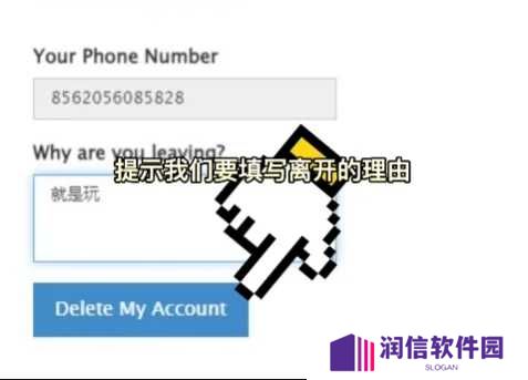 纸飞机官方