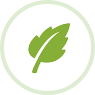 SGreen浏览器下载