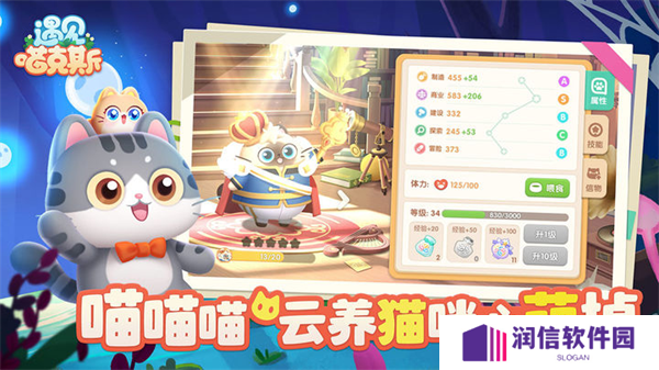 遇见喵克斯