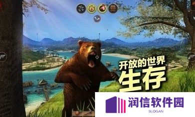 辐射岛生存手游