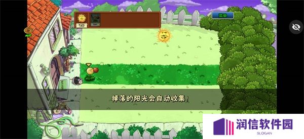 植物大战僵尸ikun版